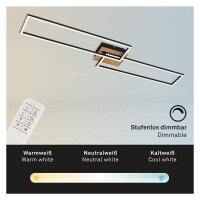 Briloner  Frame LED Deckenlampe 2-flammig 40W...