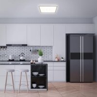 LED Deckenleuchte Free, Silber, 22 Watt, 42 x 42 x 2,9 cm – Briloner