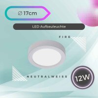 LED Deckenleuchte Fire, Chrom matt, 12 Watt, 4000K,...