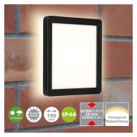 Briloner Frankfurt LED Außenleuchte 8W IP44...