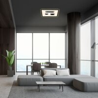 LED Deckenleuchte Pac, Schwarz, 22 Watt, 42,3 x 42,3 x 4,1 cm – Briloner