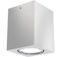 LED Deckenleuchte Tube, Silberfarbig, 5 Watt, schwenkbar, 8 x 8 x 10,5 cm – Briloner