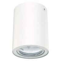 LED Deckenleuchte Tube, Weiß, 5 Watt, 3000K, schwenkbar, Ø 8 cm – Briloner