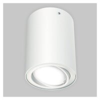 LED Deckenleuchte Tube, Weiß, 5 Watt, schwenkbar,...