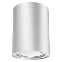 LED Deckenlampe Tube, Silberfarbig, 5 Watt, 3000K, schwenkbar, Ø 8 cm – Briloner