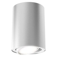 LED Deckenleuchte Tube, Silberfarbig, 5 Watt, schwenkbar,...