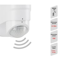Telefunken  LED Außenlampe 2-flammig Sensor...
