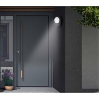 Telefunken LED Außenwandleuchte 8W IP44 Schwarz