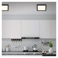 LED Deckenlampe Fire Black, Schwarz, 21 Watt, 4000K, 30 x 30 x 3,2 cm – Briloner