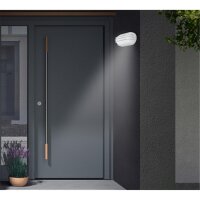 Telefunken LED Außenwandleuchte 12W IP44 Silber