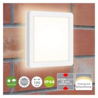 Briloner Frankfurt LED Außenleuchte 8W IP44...