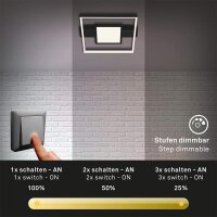 Deckenleuchte Briloner Frame LED Schwarz Lichteffekt Deckenlamp