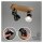 Strahler Briloner  Abbo Deckenlampe Spot Schwenkbar Holz Schwarz