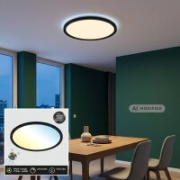 LED Deckenlampe Slim, Schwarz, 18 Watt, dimmbar, mit...