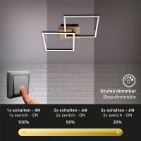 Deckenleuchte Briloner Frame LED 24W 62CM Deckenlampe...