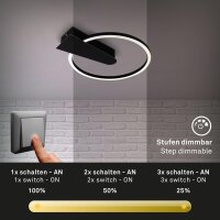 LED Deckenleuchte Frame, schwarz, 12 Watt, Warmweiß, dimmbar, 29,5 x 34 x 4 cm – Briloner