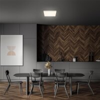 LED Deckenleuchte, silber, weiß, 21 Watt, 28,7 x 28,7 x 3,6 cm – Briloner