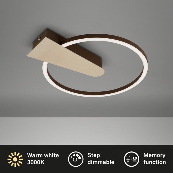 LED Deckenlampe Nico, Gold-Eloxiert, Braun, 12 Watt, 3000K, dimmbar – Briloner