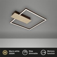 Deckenleuchte Briloner Frame Nico LED 12W 37,5CM...