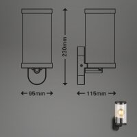 Außenleuchte Briloner Schwarz Gartenlampe Wandleuchte