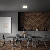 LED Deckenleuchte Rahmenlose, Silber, 16 Watt, 1600lm, 3000K, 21,2 x 21,2 x 3,6 cm – Briloner