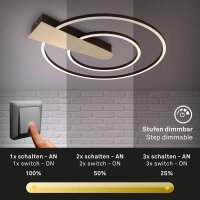 Deckenleuchte Briloner Nico Duo LED 25W 55CM Deckenlampe...