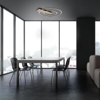 Deckenleuchte Briloner Nico Duo LED 25W 55CM Deckenlampe Dimmbar Rund 3000K Gold-Braun