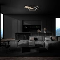 Deckenleuchte Briloner Nico Duo LED 25W 55CM Deckenlampe Dimmbar Rund 3000K Gold-Braun