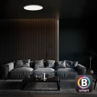 LED Deckenlampe Ivy Sky, Schwarz, 24 Watt, 3000 – 6500K, dimmbar, smart steuerbar – Briloner