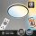 LED Deckenlampe Ivy Sky, Schwarz, 24 Watt, 3000 – 6500K, dimmbar, smart steuerbar – Briloner