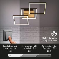 Deckenleuchte Briloner Frame Goldfarbig LED dimmbar über Schalter Deckenlampe
