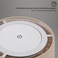 Akku-Leuchte Briloner 3 Watt LED Tischleuchte Sternenoptik Taupe Touchdimmer Tischlampe