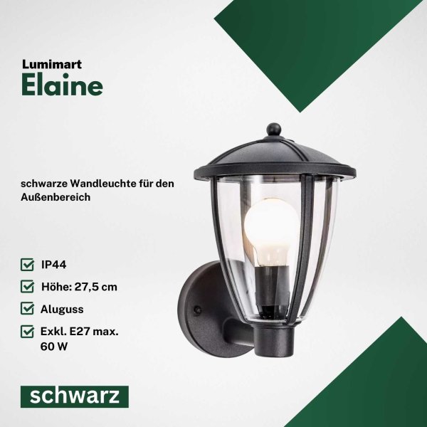 Außenleuchte Lumimart Elaine Wandleuchte IP44 schwarz transparent