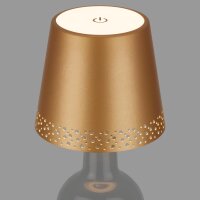 Flaschenleuchte Briloner Flaschenlicht Dimmbar Gold-Matt...