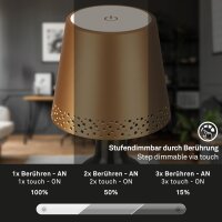 Flaschenleuchte Briloner Flaschenlicht Dimmbar Gold-Matt LED USB
