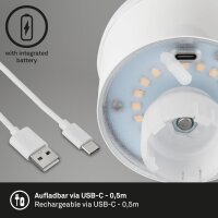 Flaschenleuchte Briloner Flaschenlicht Dimmbar Gold-Matt LED USB