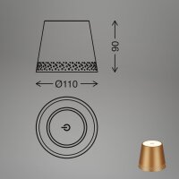 Flaschenleuchte Briloner Flaschenlicht Dimmbar Gold-Matt LED USB
