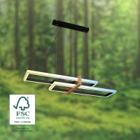 Pendelleuchte Briloner Frame 44 Watt LED Schwarz Hängeleuchte Fernbedienung dimmbar CCT Pendellampe