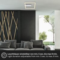 Deckenleuchte Briloner Frame LED mit Bewegungsmelder Silber Deckenlampe