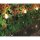 Nordlicht Professional Jardin Solar-Beetleuchte Erdspieß 43cm Flacker-Effekt IP44 Schwarz