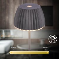 Akku-Leuchte Briloner Riffle Mini 1,5 Watt LED Tischleuchte Touchdimmer Anthrazit IP44 Tischlampe