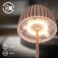 Akku-Leuchte Briloner Riffle Mini 1,5 Watt LED Braun Tischleuchte Touch-Dimmer IP44 Tischlampe