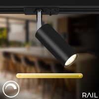 Schienenstrahler Rail, Schwarz (Matt), 5,5 Watt, schwenkbar, IP20, Ø 4 cm – Briloner