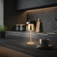 Akku-Leuchte Briloner 2,5 Watt LED Gold Tischleuchte Touchdimmer IP44