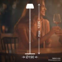 Akku-Stehleuchte Briloner Riffle 4,2 Watt LED Schwarz Touchdimmer IP44 Stehlampe 124 cm