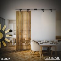 Schienensystem Briloner Starter-Set Schwarz 4 LED Spots 2 Schienen Trafo Niedervolt