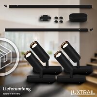 Schienensystem Briloner Starter-Set Schwarz 4 LED Spots 2 Schienen Trafo Niedervolt