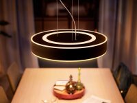 Philips Hue Pendelleuchte „Enrave“ Ø42,5cm – Weißtonsteuerung, Bluetooth, inkl. Dimmschalter