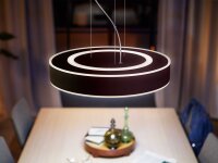 Philips Hue Pendelleuchte „Enrave“ Ø42,5cm – Weißtonsteuerung, Bluetooth, inkl. Dimmschalter