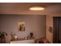 Philips Hue White Ambiance Aurelle Rundpanel 40cm – WLAN/Bluetooth, weißtonsteuerbar, dimmbar